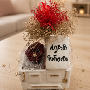 Najbolja profesorica poklon set 1